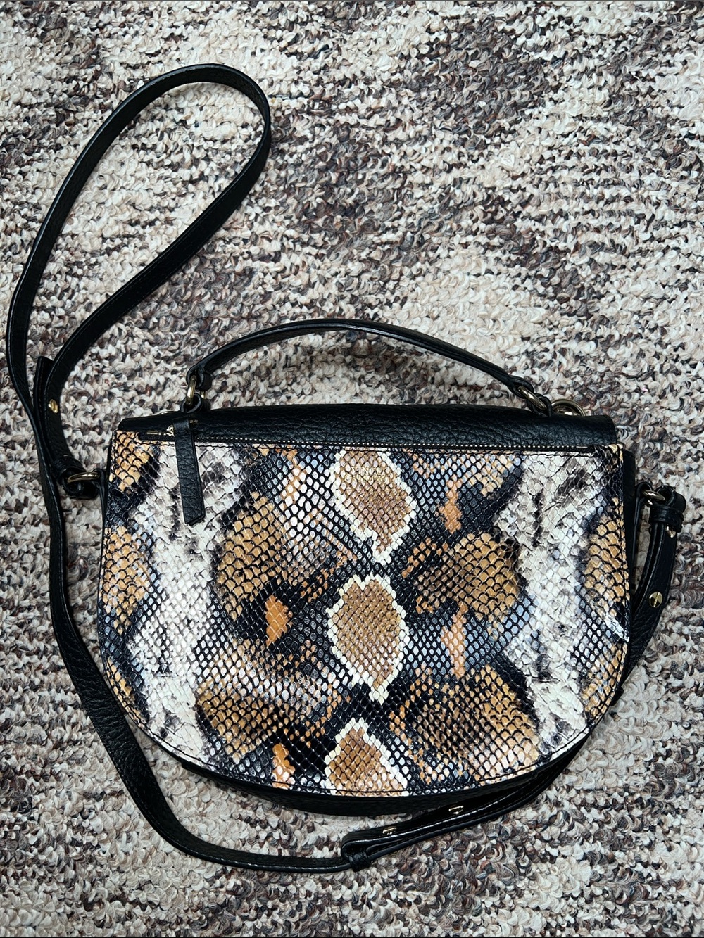 Vince Camuto Snake-Print Crossbody in Black, Brown and Cream